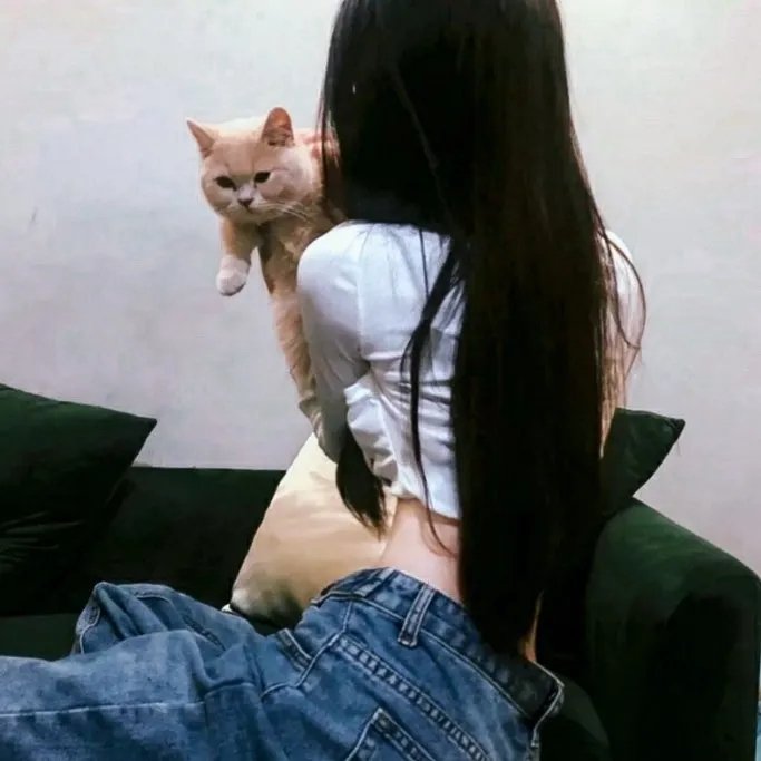 了不起的狐狸爸爸