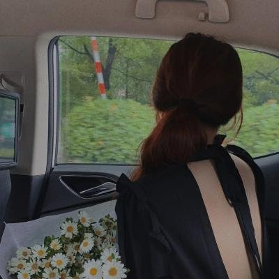 山菊花